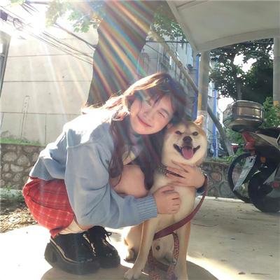 迷你特工队之汉堡大作战